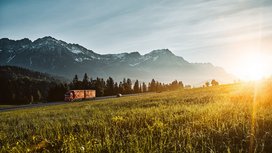 VECTO: Continental bietet CO2- und Kraftstoffkalkulator für Nachhaltigkeits-Check seiner Reifen